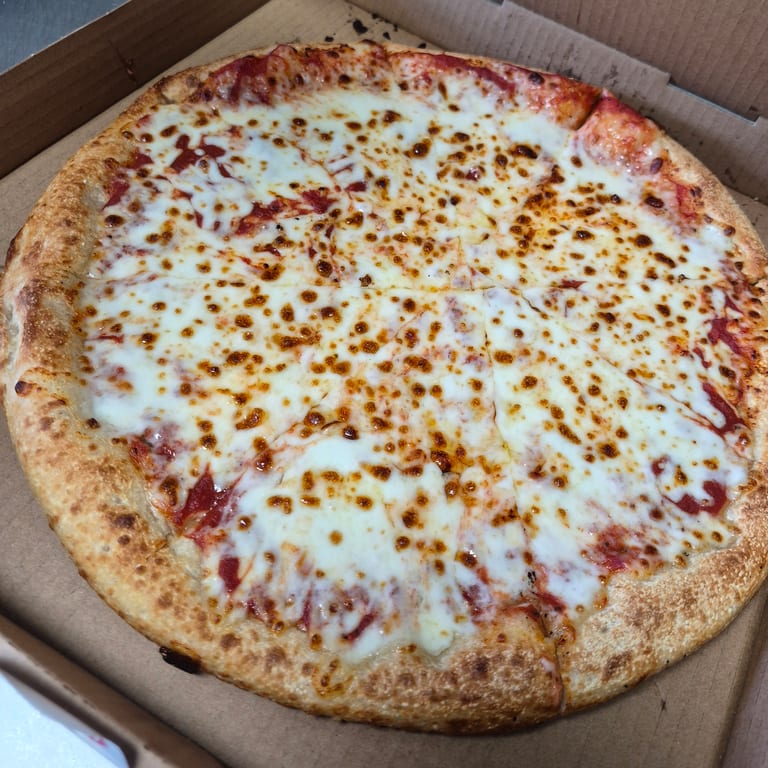 Delicious Cheese Pizza Options